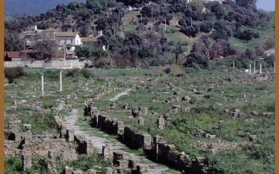 Unesco/ inscription du circuit «sur les traces de Saint Augustin» : La diplomatie et la culture se mobilisent