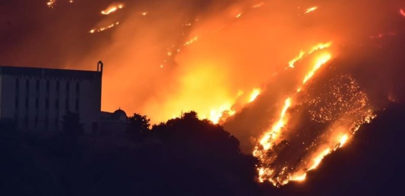 Au milieu des flammes en Kabylie: Témoignage