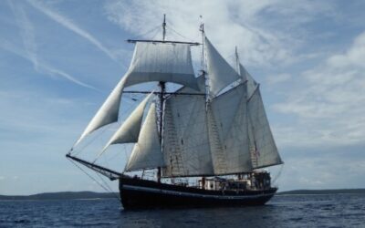 Med 25 le bel espoir