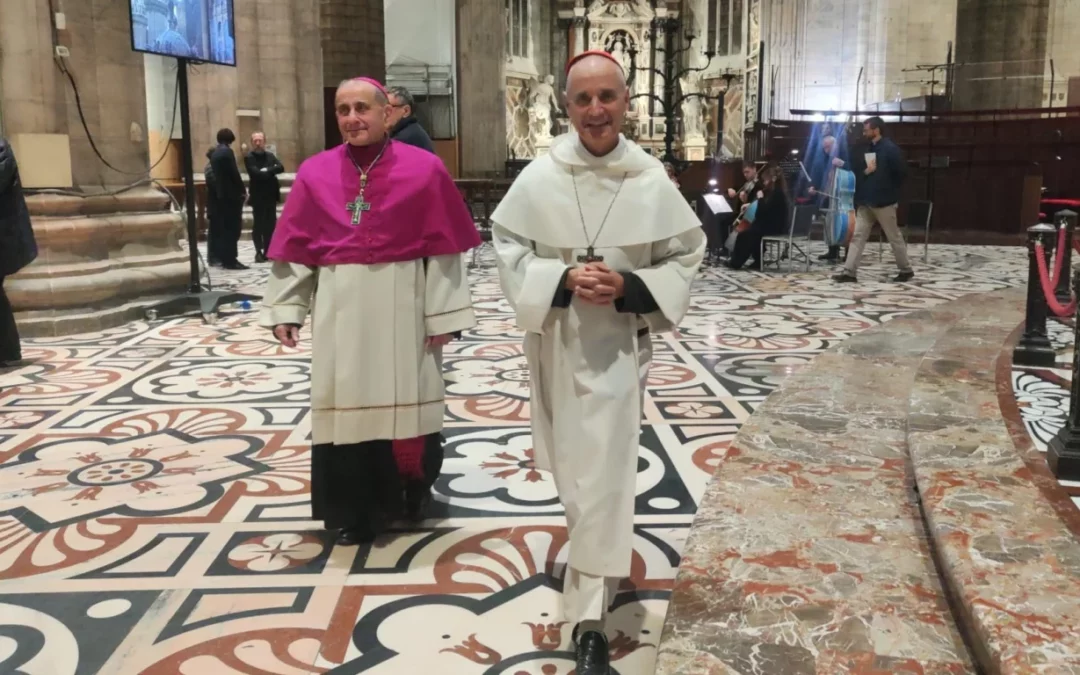 Cardinale Vesco: la forza evangelica della fraternità